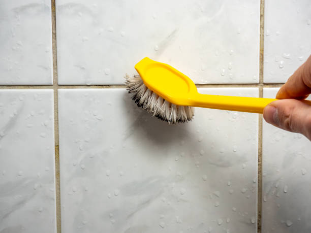 Best Residential Mold Removal  in Marfa, TX