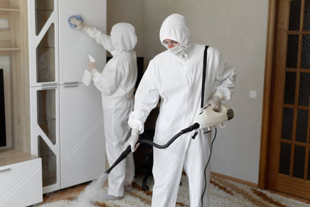 Best Certified Mold Removal  in Marfa, TX