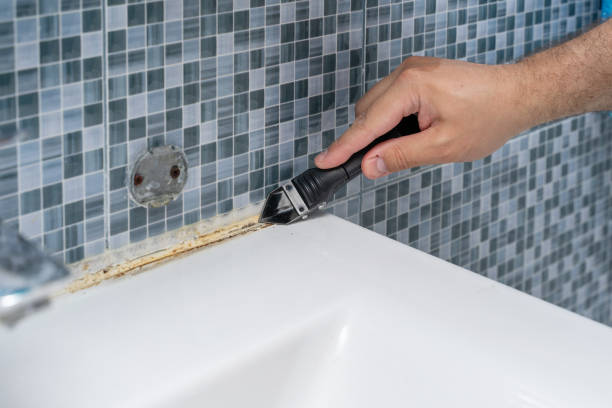 Best Mold Inspection  in Marfa, TX
