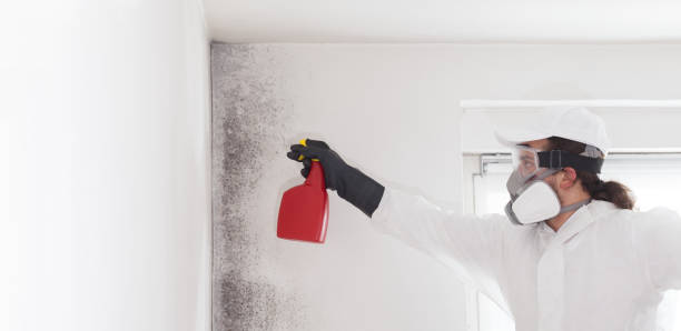 Best Mold Cleaning Services  in Marfa, TX