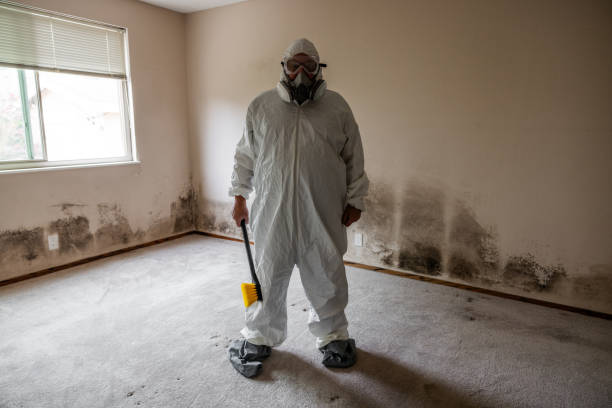 Best Professional Mold Removal  in Marfa, TX