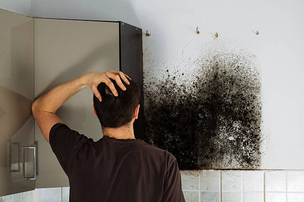 Best Water Damage Restoration  in Marfa, TX